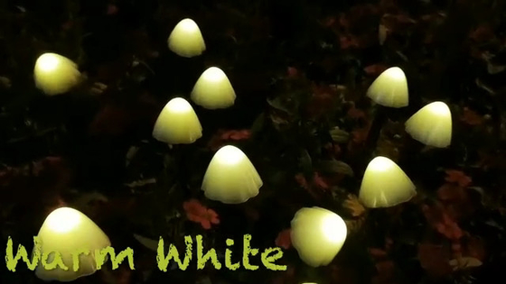 Zonne Aangedreven LEIDENE van 2700K IP55 Koordlichten/de Lichtenhuwelijks Feestelijke Decoratie van de Paddestoel Zonnetuin