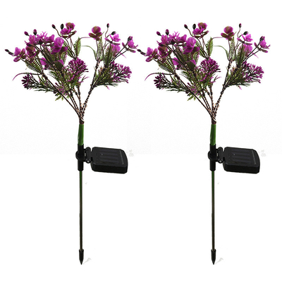 Phalaenopsis van Zonne LEIDENE van de het Landschapstuin van Wildflowers Tuinlichten Klein het Gazonlicht