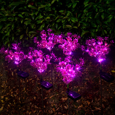 Phalaenopsis van Zonne LEIDENE van de het Landschapstuin van Wildflowers Tuinlichten Klein het Gazonlicht