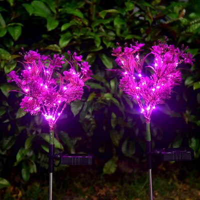 Phalaenopsis van Zonne LEIDENE van de het Landschapstuin van Wildflowers Tuinlichten Klein het Gazonlicht
